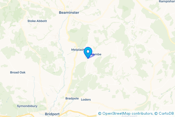 Bus Hire in Hincknowle, Dorset, England