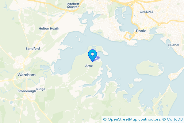 Hire a Minibus in Arne, Dorset, England