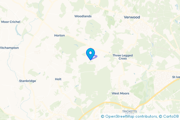 Hire a Minibus in Crooked Withies, Dorset, England