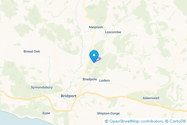 Hire a Minibus in Mangerton, Dorset, England