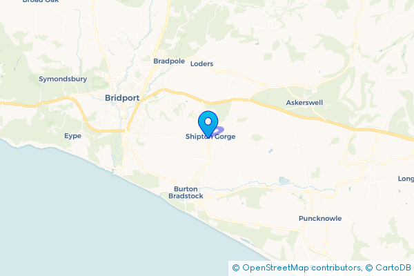 Hire a Minibus in Shipton Gorge, Dorset, England