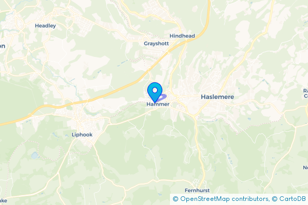 Minibus Hire in Hammer, West Sussex, England