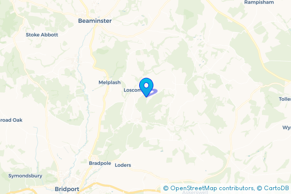 Minibus Hire in Loscombe, Dorset, England