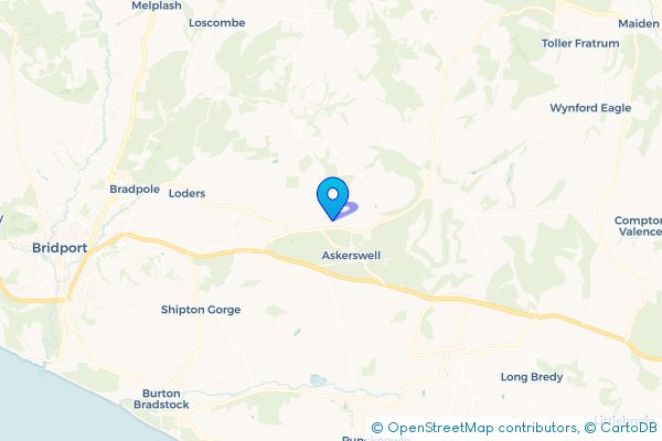 Minibus Hire in Spyway, Dorset, England